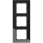 Berker 10136616, Anthrazit, Schwarz, Kunststoff, Schraubenlos, Jede Marke, 1 Stück(e)