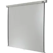 Celexon Rolloleinwand Professional 120 x 120 cm - 1:1 - Gain 1,2