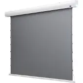 Celexon HomeCinema Motorleinwand Tension 221 x 124 cm 100" - Dynamic Slate ALR