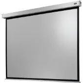 Celexon Leinwand Motor Professional Plus 200 x 150 cm