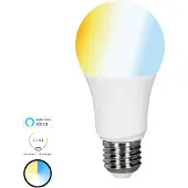 TINT Smarte LED Lampe A60 E27/9W(60W) 806 lm 2700- 6500 K warmweiß- tageslichtweiß - Kompatibel mit SMART HOME by hornba