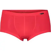 Olaf Benz Hipster Short / Pant RED1201 in Rot | Gr.: M