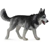 Collecta Sibirischer Husky-Hund L - Tierfigur