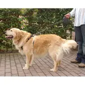 Karlie Auto-Hundegeschirr, Größe:L