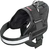 Flamingo Xtreme Teflon Hundegeschirr
