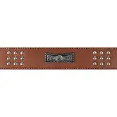 Flamingo Sedona Hundehalsband