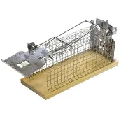 Intratuin Mouse Classic