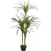 Beliani Dracaena Anita
