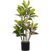 Beliani Magnolia
