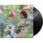 Kscope Shimmer Into Nature