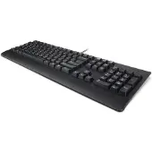 Lenovo Preferred Pro II, Volle Größe (100%), Kabelgebunden, USB, QWERTY, Schwarz
