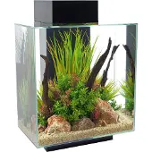 Fluval Edge Led 2.0 46l Aquarium-set