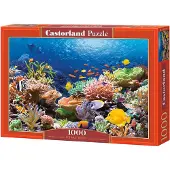 Castorland Coral Reef Fishes Puzzle 1000 Teile C-101511-2