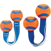 Chuckit! Ultra Duo Tug - M