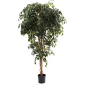 Mica Kunstpflanze Ficus grün im Topf 180 x 100 cm GLO660754763