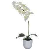 Mica Kunstpflanze Phalaenopsis im Topf weiß, 60 x 16 cm GLO660754739