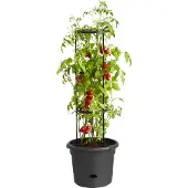 Elho green basics Pflanztopf für Tomaten Ø 33 x H 26 cm