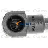VAICO Gasfeder, Motorhaube Original Qualität V20-0985