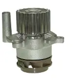 Saleri SIL Wasserpumpe PA1355A