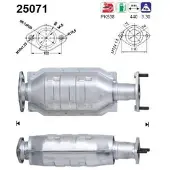 As Katalysator 25071