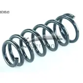 CS Germany Fahrwerksfeder 14.876.513