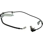 KAVO PARTS Sensor, Raddrehzahl BAS-8546