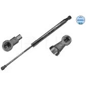 Meyle 16-14 910 0036 Gasfeder Heckklappendämpfer für RENAULT TWINGO II (CN0) 385,5mm