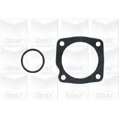 Graf Kühlmittelpumpe Wasserpumpe für FIAT TIPO (160) PA659