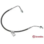 Brembo Bremsschlauch ESSENTIAL LINE T 24 011