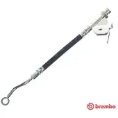 Brembo Bremsschlauch ESSENTIAL LINE T 30 120