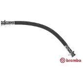 Brembo Bremsschlauch ESSENTIAL LINE T 10 004