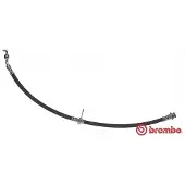 Brembo Bremsschlauch ESSENTIAL LINE T 79 036