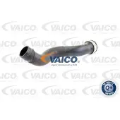 VAICO Ladeluftschlauch [Hersteller-Nr. V10-4391] für VW, Seat