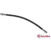 Brembo Bremsschlauch ESSENTIAL LINE T 83 116