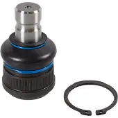 FEBI BILSTEIN Bilstein Trag-/Führungsgelenk 171568