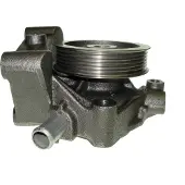Saleri SIL Wasserpumpe PA1400