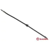 Brembo Bremsschlauch ESSENTIAL LINE T 24 031