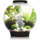BiOrb OASE Tabletop Aquarien »CLASSIC«, mit LED Beleuchtung, 30 l, schwarz
