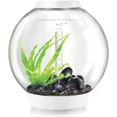 BiOrb OASE CLASSIC 60 LED weiß