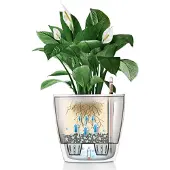 Lechuza 'Classico Premium LS 28', weiß, ca. Ø 28 x H 26 cm