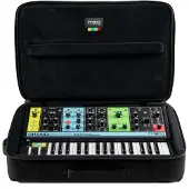 Moog SR Series Koffer für Großmutter