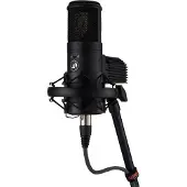 Warm Audio WA-8000 Kondensatormikrofon