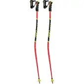 LEKI Herren Alpin-Skistock WCR Lite GS 3D