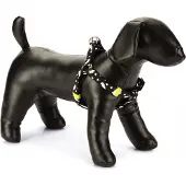 Beeztees Bz Nyl Geschirr Thunder Sw 26-