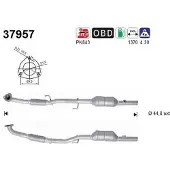 As Katalysator 37957