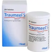 Heel Traumeel S 250 ST