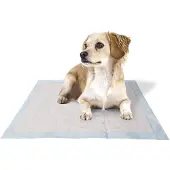 Ferplast Genico Basic Windeln 60x60 Cm 50 Einheiten