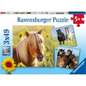 Ravensburger Liebe Pferde 08011