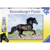 Rave Schwarzer Hengst 12803
