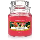 Yankee candle Raumdüfte Duftkerzen Tropical Jungle Classic Small Glass